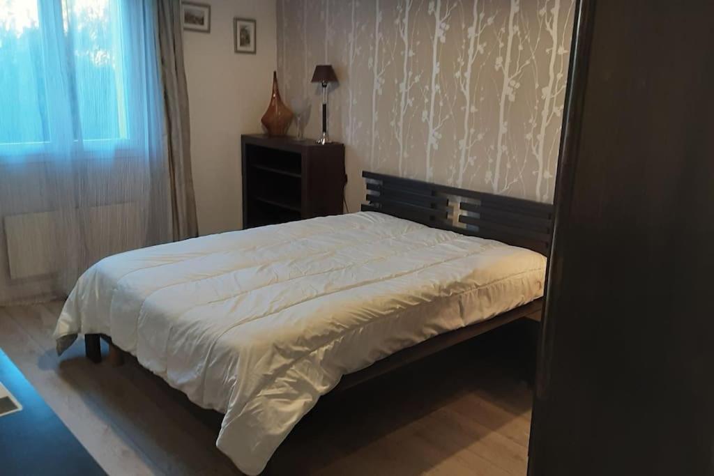 Grand T1 Meuble Saint-Flour (Cantal)