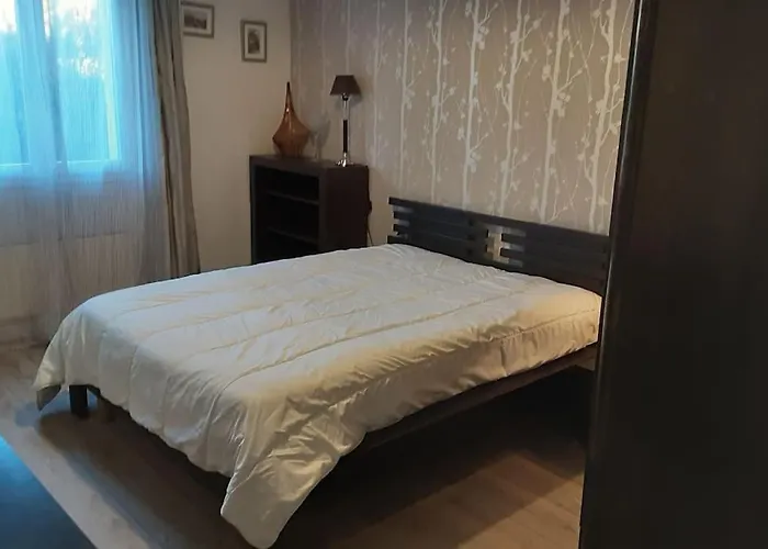 Grand T1 Meuble